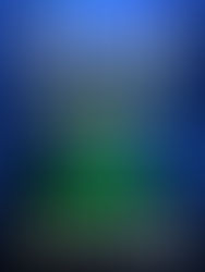 Summary Book for Live Free or Die by Sean Hannity (#1 Best Seller: Kindle Books)