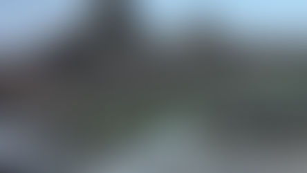 Natural Beauty from the Sea