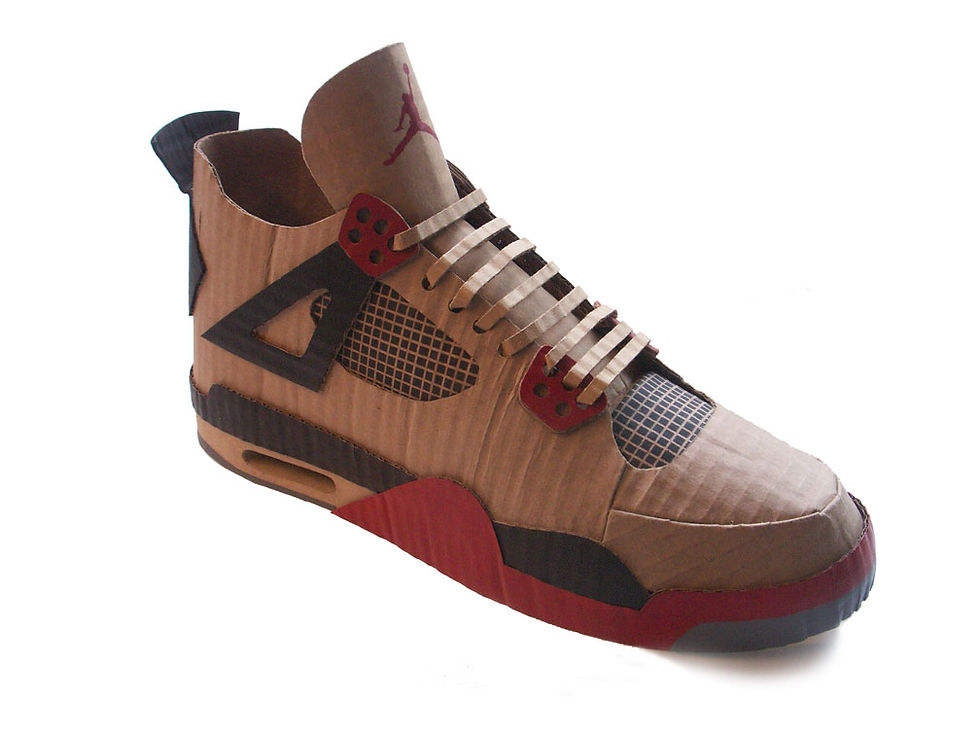 cardboardjordaniv