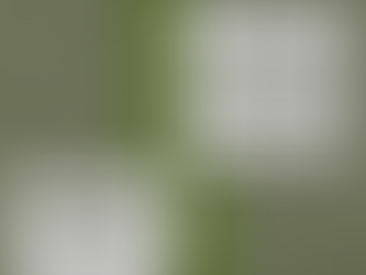 11月、12月の教室案内を更新しました。