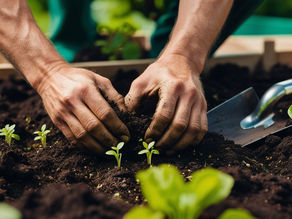 Say Goodbye to Garden Chores: Hire a Gardener for Expert Care
