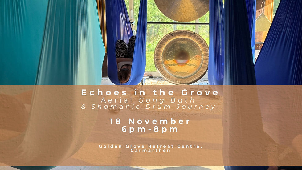 Echoes in the Grove: Aerial Gong Bath and Shamanic Drum Journey - 18 November 2025