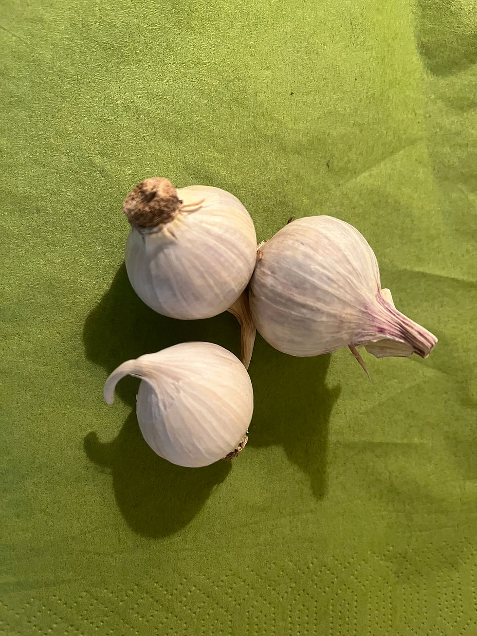 Vitlök " solo " 3 st