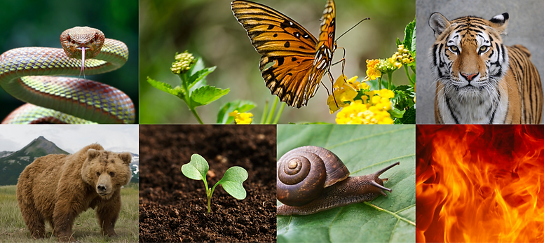 Medita (3)_edited.png