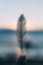 Feather Stone Energy Healing 1_1 Session (60 mins)