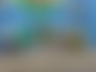 Redentorista celebra 50 anos de sacerdócio no Santuário do Rocio