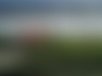 Industria solar consolida iniciativas ambientales