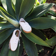 Vans,   se pone la R de Reducir el impacto ambiental  con su colección Circle Vee™. 