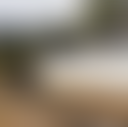 Las ventajas de la movilidad en trenes