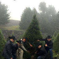 Arranca campaña adquiere un árbol natural de Navidad en la Ciudad de México