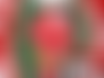 FRODY APUESTA POR SABOR AMARETTO Y BASTÓN DE CARAMELO PARA NAVIDAD