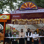 FESTIVAL DE FLORES DE CEMPASÚCHIL EN LA CDMX, LA CIUDAD QUE LO TIENE TODOFESTIVAL DE FLORES DE CEMPA