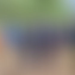 El estado de Guanajuato le apuesta a la Sustentabilidad.