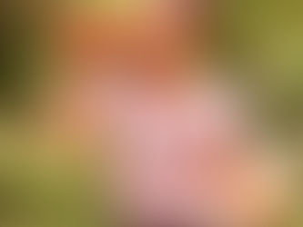 Hábitos que cambian tu vida