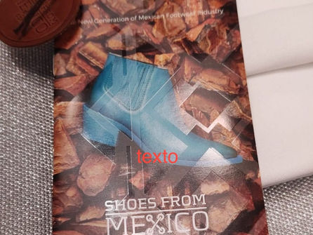 La industria del calzado sale a flote en Guanajuato.