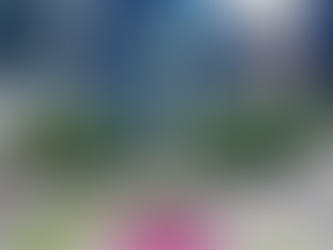 Los barrios con más magia de CDMX