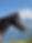 IMG_6354.jpeg