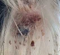 Photo day 2_edited.jpg