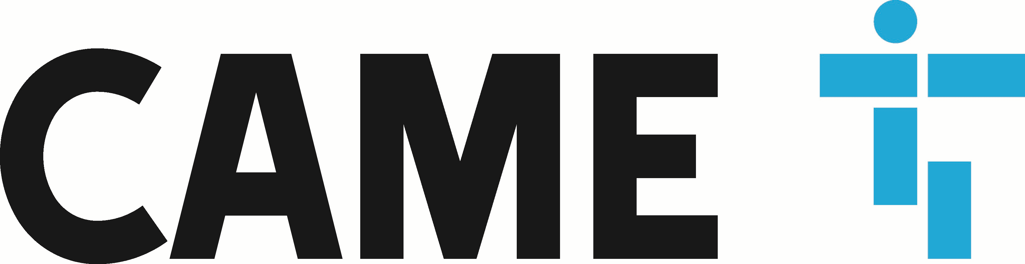 Logo CAME.GIF