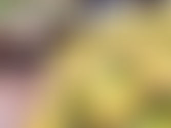 БЕРЛИН ХОТЫН ХЭД ХЭДЭН СУПЕРМАРКЕТААС ИХ ХЭМЖЭЭНИЙ КОКАЙН ИЛРҮҮЛЖЭЭ.