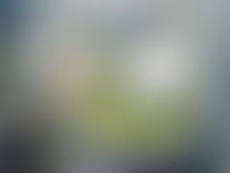 Top 10 Things to Celebrate on Our Rooftop