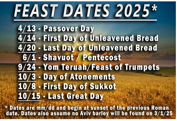 202 holy days candr .jpg