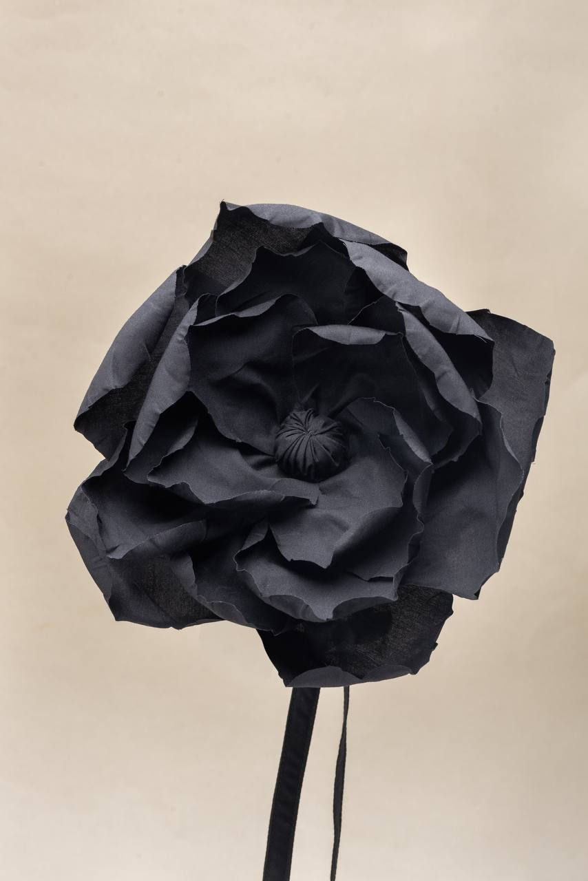Миниатюра: Cyclamen black