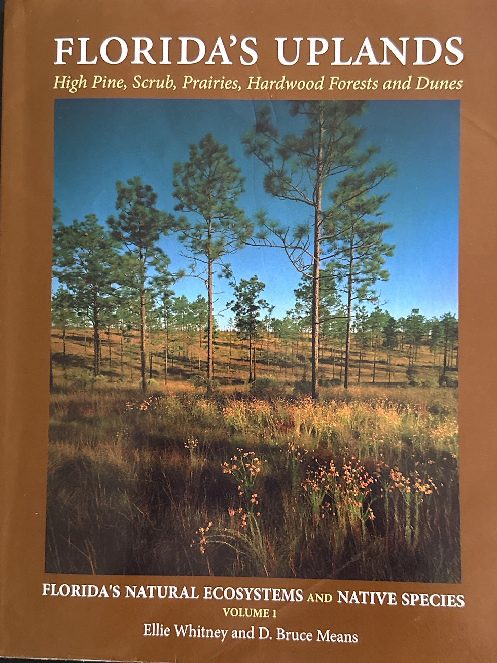 Florida's Uplands, High Pine, Scrub, Prairies, Hardwood Forests and Dunes