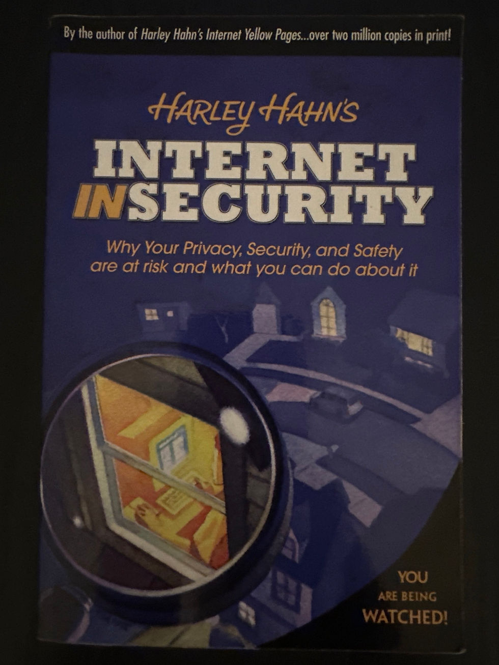 Internet Insecurity