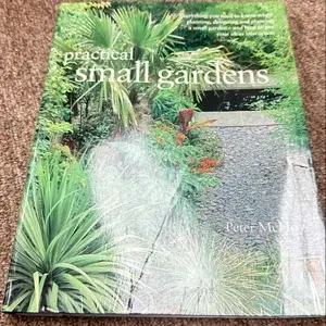 PRACTICAL SMALL GARDEN