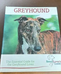 Greyhound