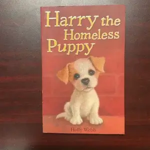 HARRY THE HOMELESS PUPPY