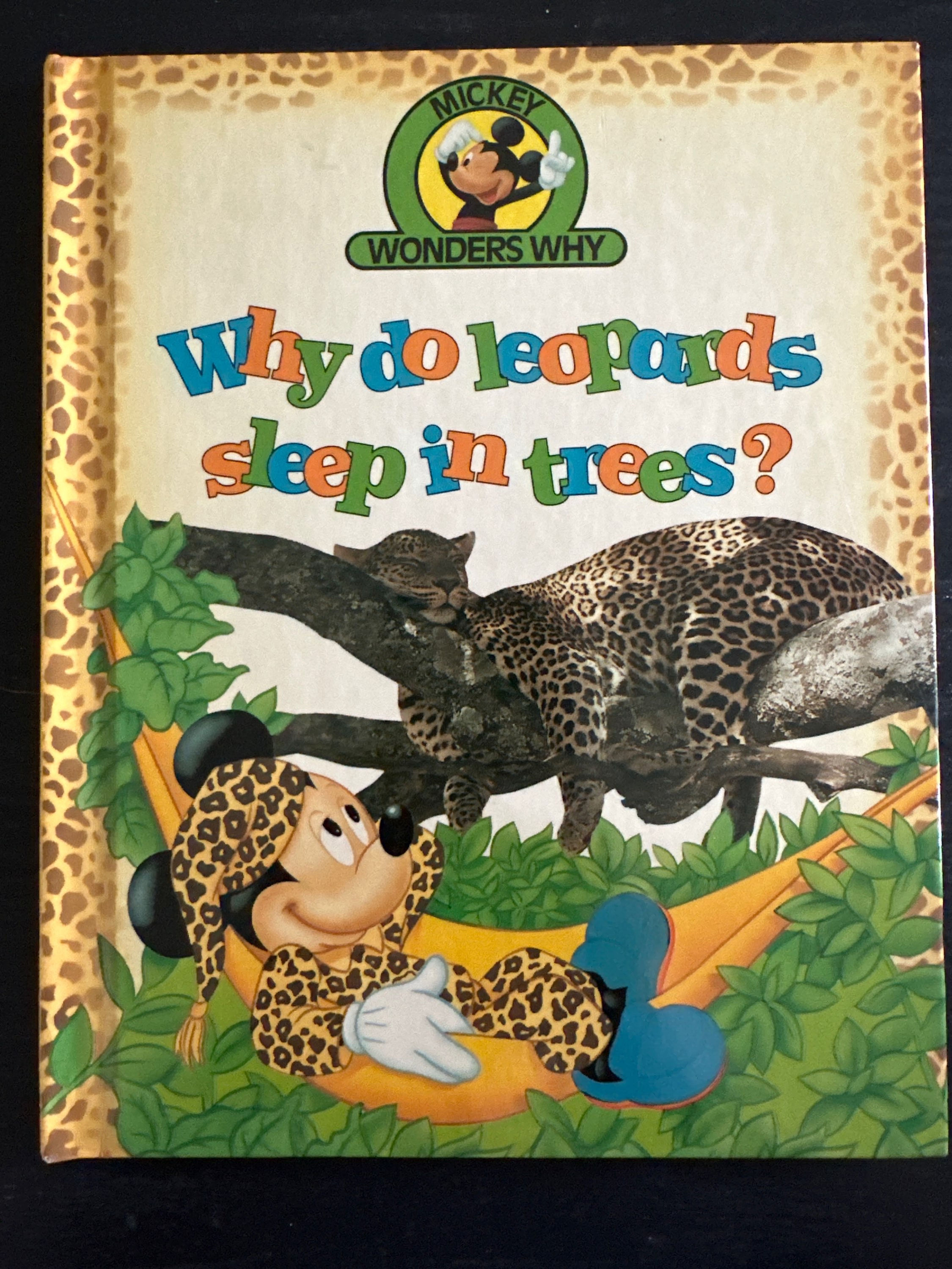 Why Do Leopards Sleep in Trees?