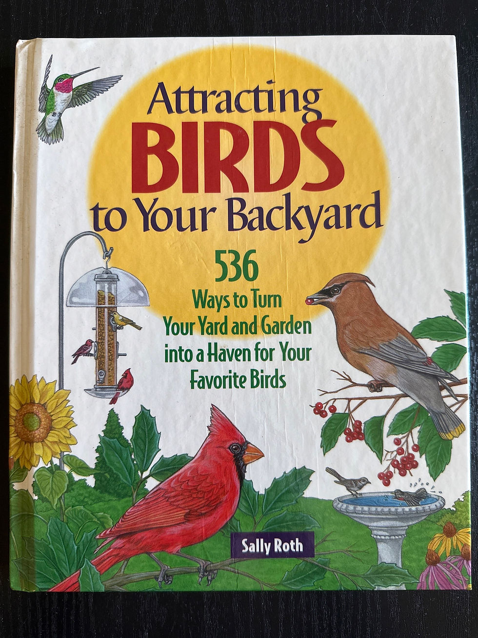 Attracting Birds to Your Backyard