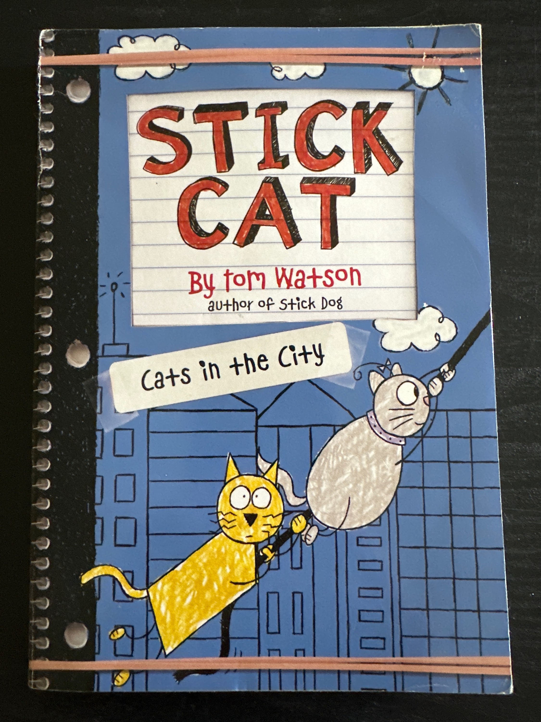 Stick Cat: Cats in the City