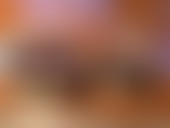 腸活―発酵あんこ