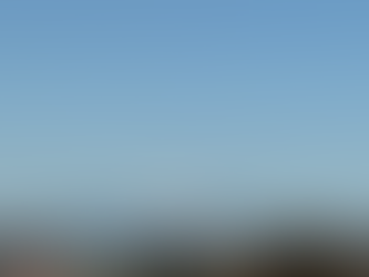 ２月のスケジュール