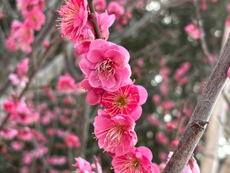 3月のスケジュール