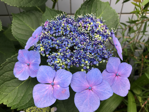 蒸し暑い夏を快適にするお手軽なセルフケア