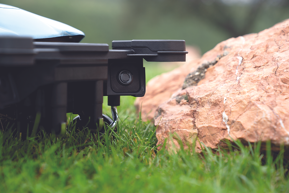 Miniatură: ROBOT DE GAZON WIPER PREMIUM I 250U