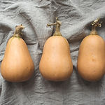 Butternut Squash