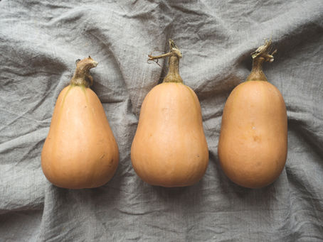 Butternut Squash Chowder