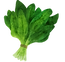 Spinach