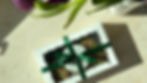 Thumbnail: Lucky Paws Cookie Box 🍀