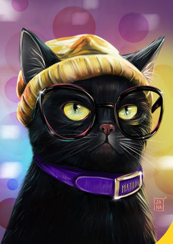 Matilda the black cat