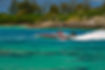 BPBA - Boat race Bermuda 1.jpg