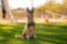 DSC09859.jpeg