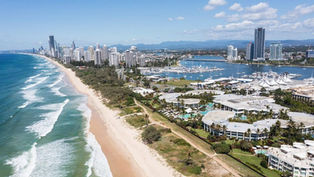 Queensland's Thriving Film Scene: A Spotlight on New Productions