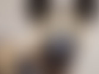 Lycaon ou Chien sauvage d'Afrique ou Loup peint
