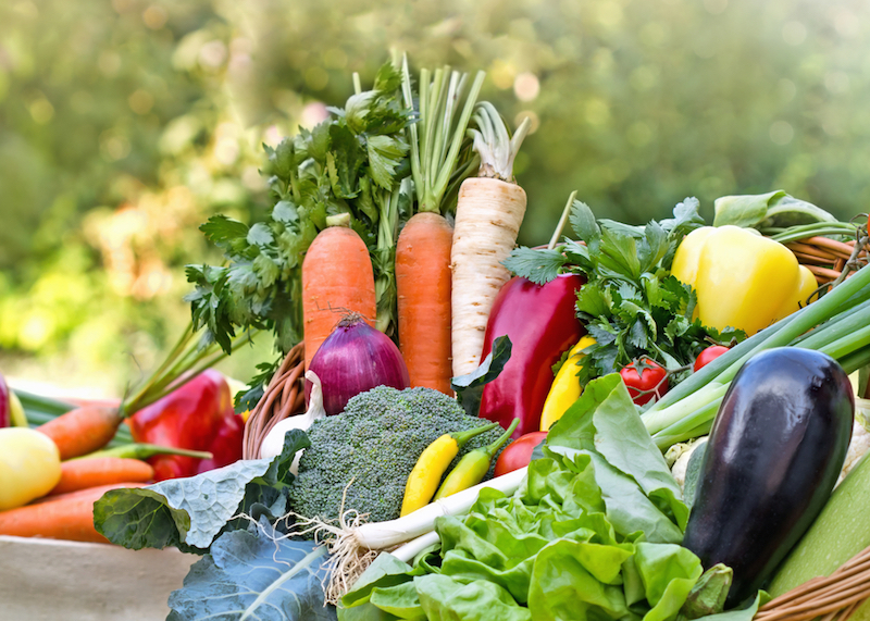 veg-bloggers-lead.webp
